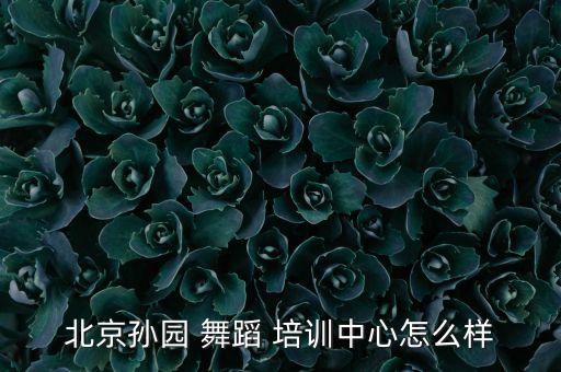 北京孙园 舞蹈 培训中心怎么样
