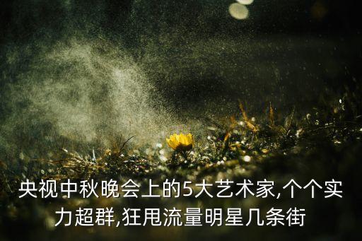 央视中秋晚会上的5大艺术家,个个实力超群,狂甩流量明星几条街