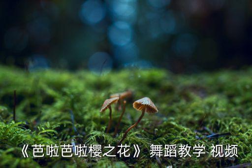 《芭啦芭啦樱之花》 舞蹈教学 视频