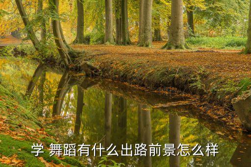 舞蹈教师发展,教师舞蹈大赛获奖的舞蹈