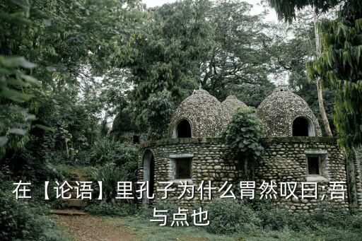 在【论语】里孔子为什么胃然叹曰;吾与点也