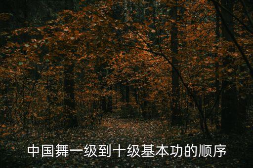 中国舞一级到十级基本功的顺序