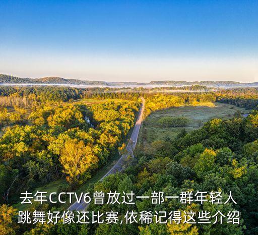 去年CCTV6曾放过一部一群年轻人跳舞好像还比赛,依稀记得这些介绍