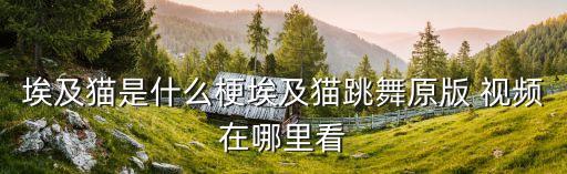 埃及猫是什么梗埃及猫跳舞原版 视频在哪里看