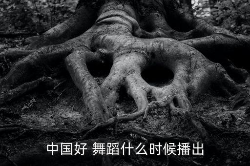 中国好 舞蹈什么时候播出