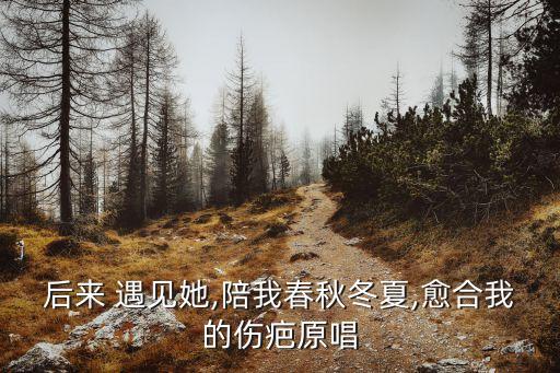 后来 遇见她,陪我春秋冬夏,愈合我的伤疤原唱