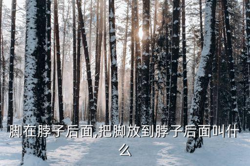 舞蹈脚在脖子后面,把脚放到脖子后面叫什么