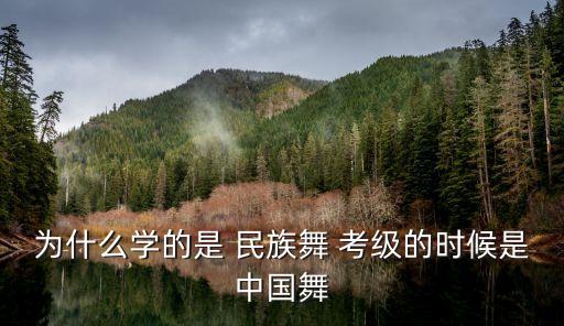 为什么学的是 民族舞 考级的时候是中国舞