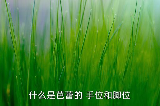 什么是芭蕾的 手位和脚位