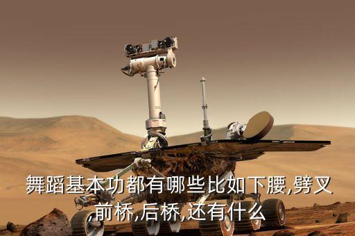  舞蹈基本功都有哪些比如下腰,劈叉,前桥,后桥,还有什么