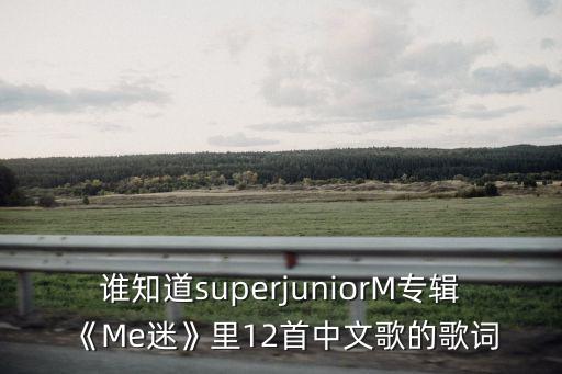 谁知道superjuniorM专辑《Me迷》里12首中文歌的歌词