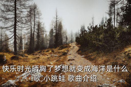 快乐时光晒胸了梦想就变成海洋是什么歌,小跳蛙 歌曲介绍