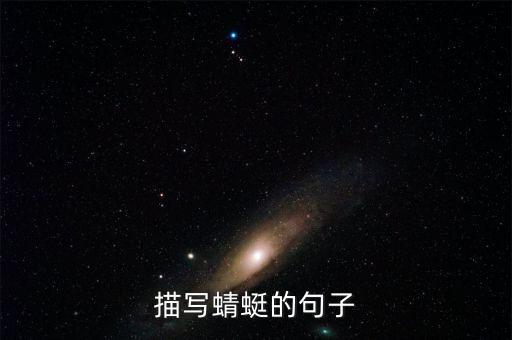 描写蜻蜓的句子