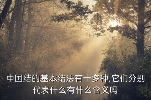 中国结的基本结法有十多种,它们分别代表什么有什么含义吗