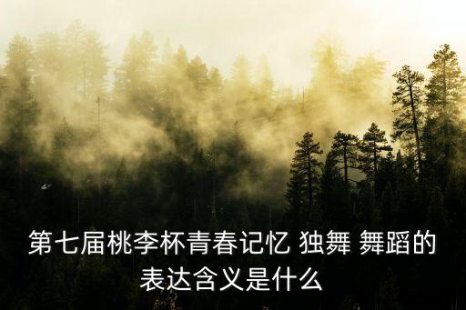 第七届桃李杯青春记忆 独舞 舞蹈的表达含义是什么