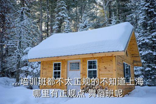 ...培训班都不太正规的不知道上海哪里有正规点 舞蹈班呢