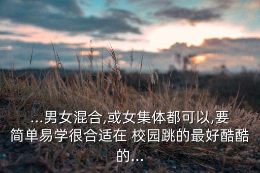...男女混合,或女集体都可以,要简单易学很合适在 校园跳的最好酷酷的...