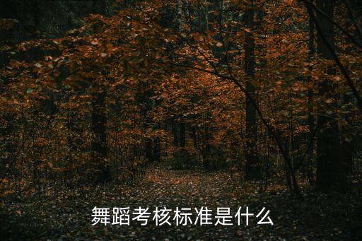  舞蹈考核标准是什么