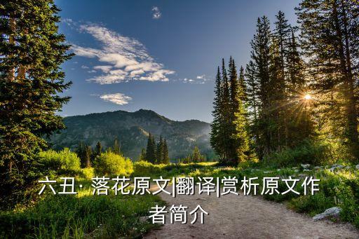 静静舞蹈落花,静静老师的最新舞蹈