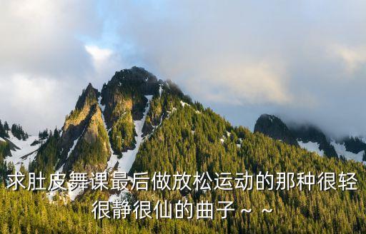 求肚皮舞课最后做放松运动的那种很轻很静很仙的曲子～～