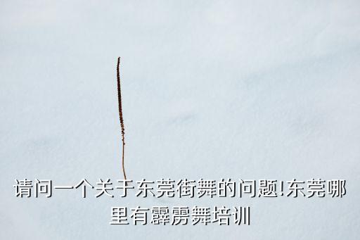 请问一个关于东莞街舞的问题!东莞哪里有霹雳舞培训