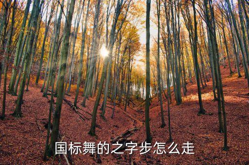 国标舞的之字步怎么走