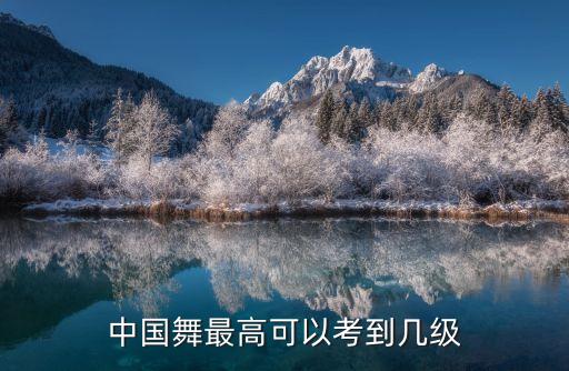 中国舞最高可以考到几级