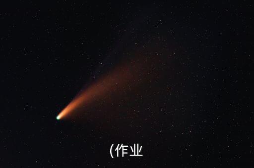 (作业