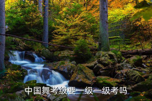 三级舞蹈模仿与想象,舞蹈三级模仿与想象主题