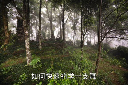 怎么样学舞蹈,初中毕业生学舞蹈怎么样