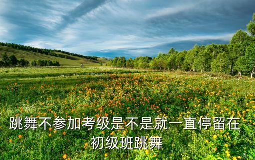舞蹈初级班和一级班,舞蹈启蒙班和初级班的差异