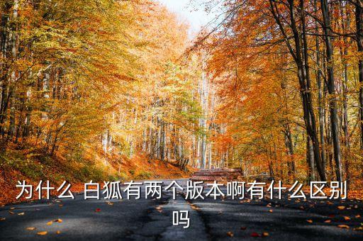 白狐舞蹈介绍词,舞蹈白狐古典独舞