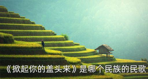 《掀起你的盖头来》是哪个民族的民歌