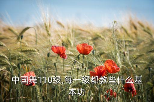 中国舞110级,每一级都教些什么基本功
