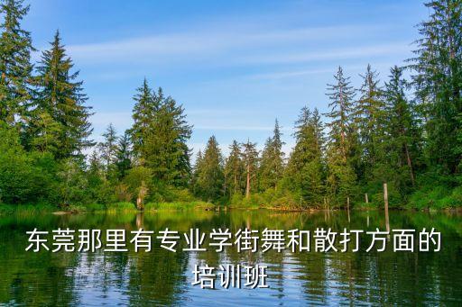 东莞那里有专业学街舞和散打方面的培训班