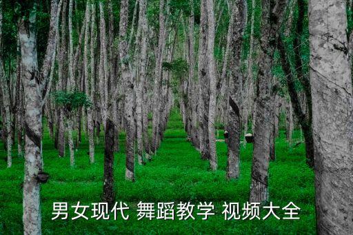 男女现代 舞蹈教学 视频大全