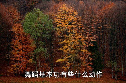  舞蹈基本功有些什么动作