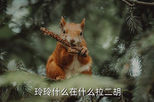 玲玲什么在什么拉二胡