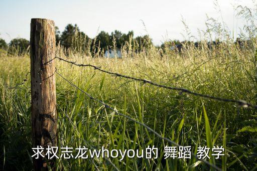 两分钟舞蹈教学视频,完整版两分钟舞蹈视频