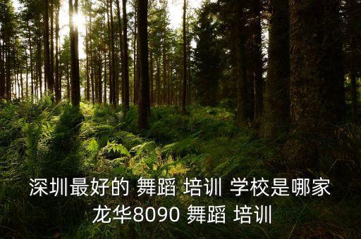 深圳最好的 舞蹈 培训 学校是哪家 龙华8090 舞蹈 培训