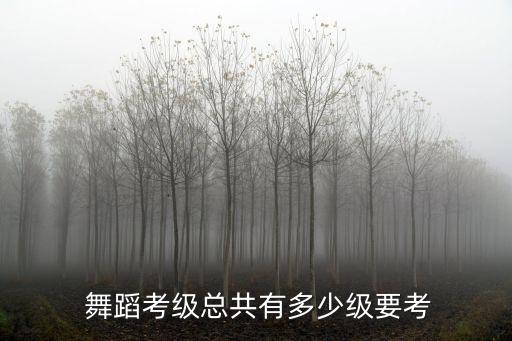  舞蹈考级总共有多少级要考