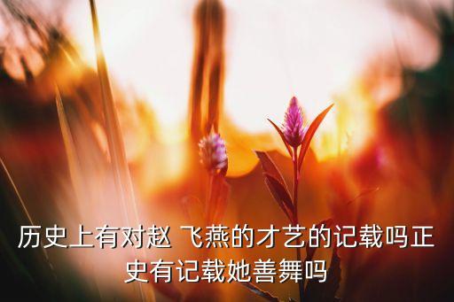 历史上有对赵 飞燕的才艺的记载吗正史有记载她善舞吗
