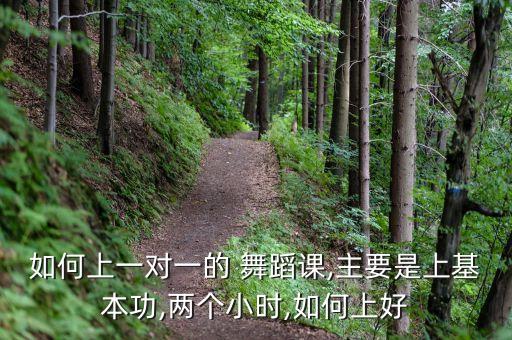 舞蹈试听课怎么上,第一次舞蹈试听课