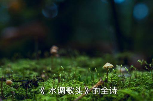 《 水调歌头》的全诗
