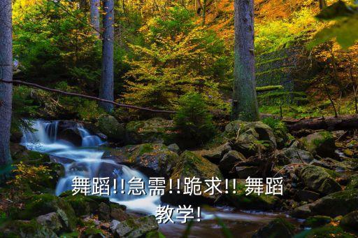 舞蹈!!急需!!跪求!! 舞蹈 教学!