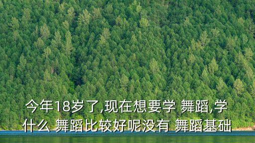 18岁能学什么舞蹈,18男生岁学什么技术好