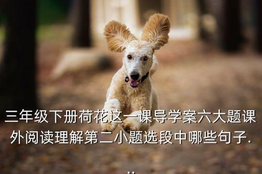 咏荷舞蹈中间段意义