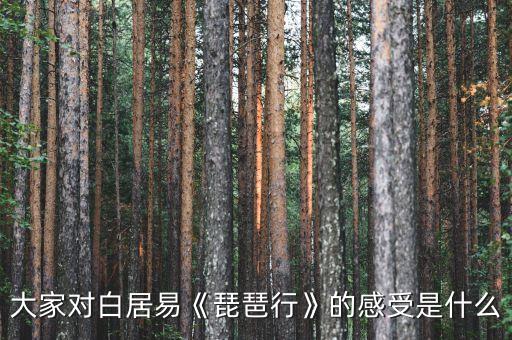 篱笆行舞蹈男生,喜鹊钻篱笆的舞蹈