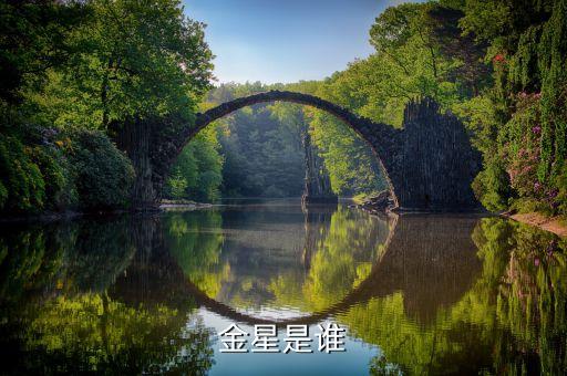 金星是谁