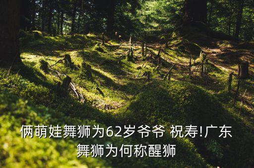 俩萌娃舞狮为62岁爷爷 祝寿!广东舞狮为何称醒狮